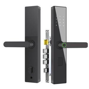 digital Smart door lock