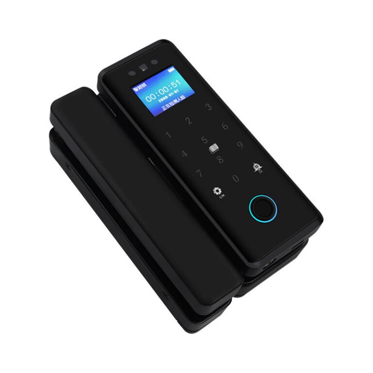 Smart Face Recognition Glass Door Lock