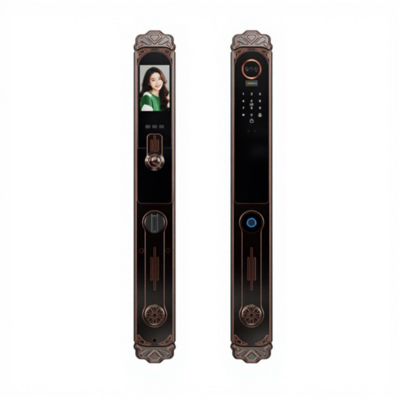 Luxury Platinum Smart Face Lock